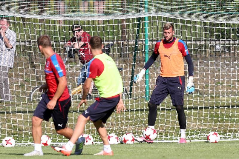 Football. Czech Republic. Training. 15.06.2017