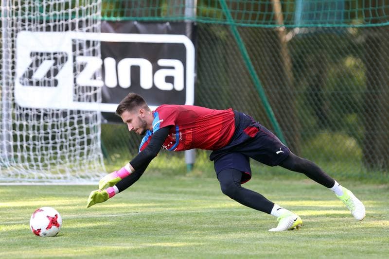 Football. Czech Republic. Training. 15.06.2017