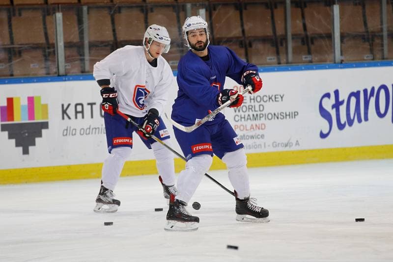 Ice Hockey. France. Training. 15.12.2015