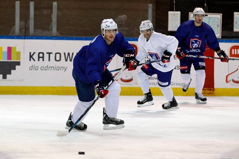 Ice Hockey. France. Training. 15.12.2015
