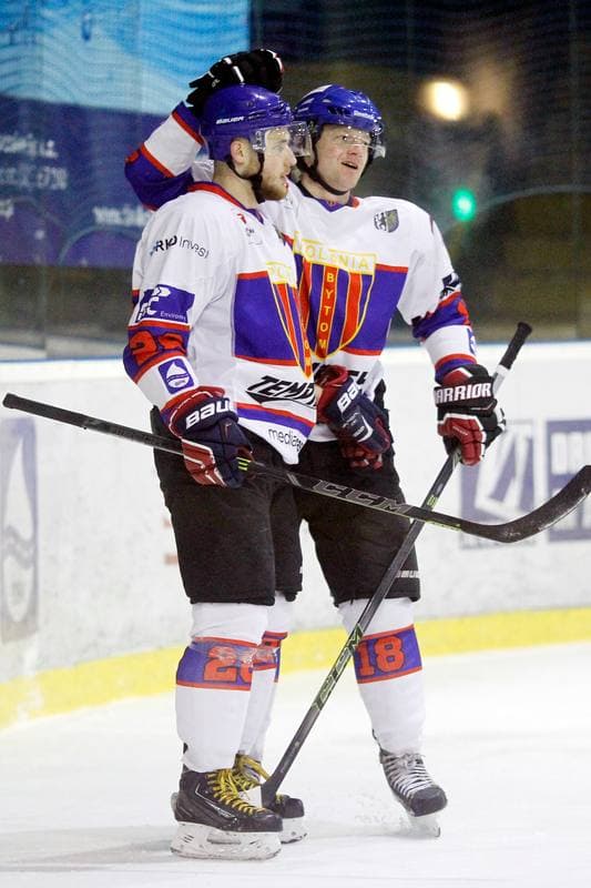 Ice Hockey. Polska Hokej Liga. Tempish Polonia Bytom - JKH GKS Jastrzebie. 20.01.2017