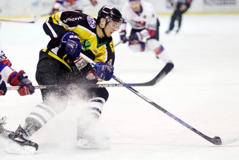 Ice Hockey. Polska Hokej Liga. Tempish Polonia Bytom - JKH GKS Jastrzebie. 20.01.2017