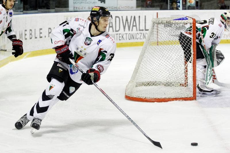 Ice Hockey. Polska Hokej Liga. GKS Tychy - Tempish Polonia Bytom. 22.01.2017