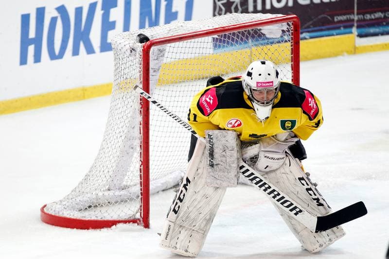 Ice Hockey. Tauron Hokej Liga. Tauron KH GKS Katowice - Nesta Torun. 22.01.2017