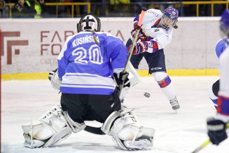 Ice Hockey. PLHK. Polonia Bytom - Stoczniowiec Gdansk. 18.03.2017