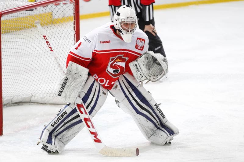 Ice Hockey. Euro Ice Hockey Challenge. Poland - Ukraine. 10.02.2017