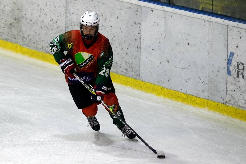 Ice Hockey. PLHK. Polonia Bytom - Naprzod Janow. 21.10.2017