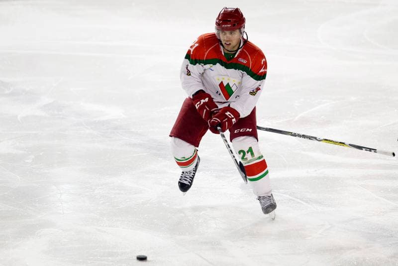 Ice Hockey. I Liga. Zaglebie Sosnowiec - UKH Debica. 18.02.2017
