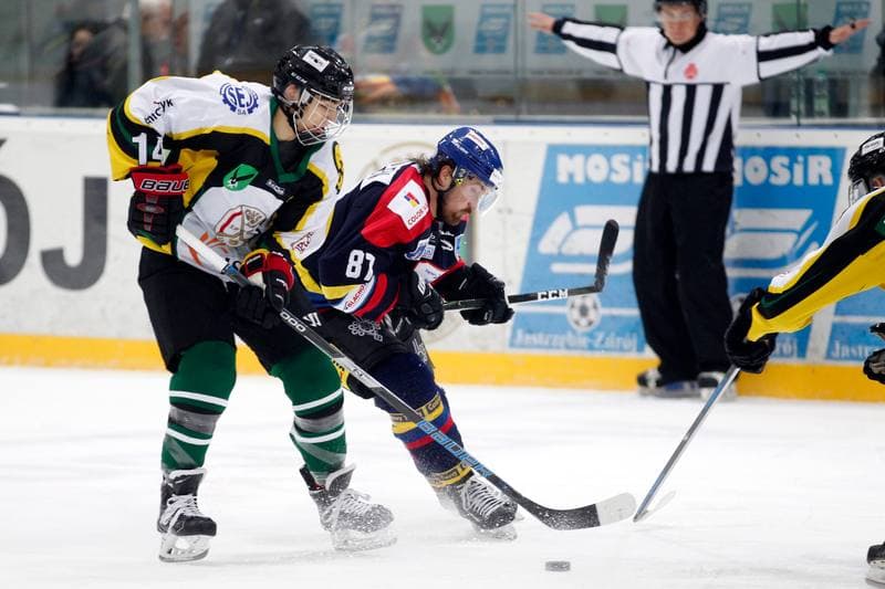 Ice Hockey. Polska Hokej Liga. JKH GKS Jastrzebie - Podhale Nowy Targ. 26.02.2017