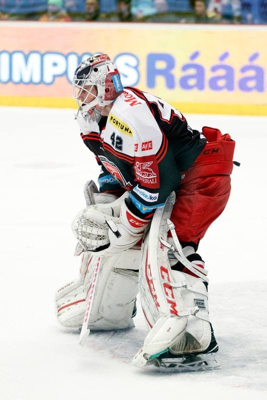 Ice Hockey. Tipsport Extraliga. Ocelari Trinec - Mounfield Hradec Kralove. 26.02.2017