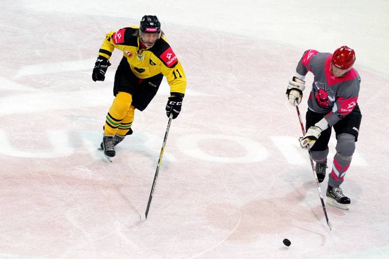Ice Hockey. Charity Match. Tauron KH GKS Katowice - Byki Tauron. 01.04.2017