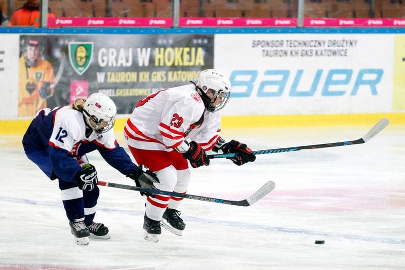 Ice Hockey. Women's National Team. Poland - Slovakia. 12.11.2017