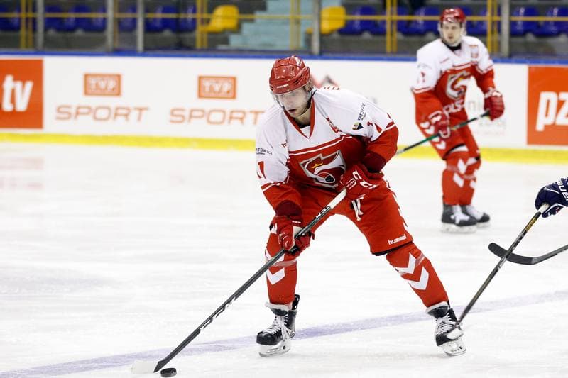 Ice Hockey. International Friendly Match. Poland - Slovakia B. 07.04.2017