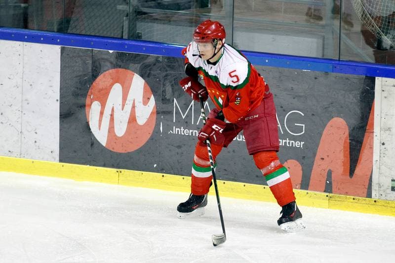 Ice Hockey. I Liga. Naprzod Janow - Zaglebie Sosnowiec. 22.01.2017