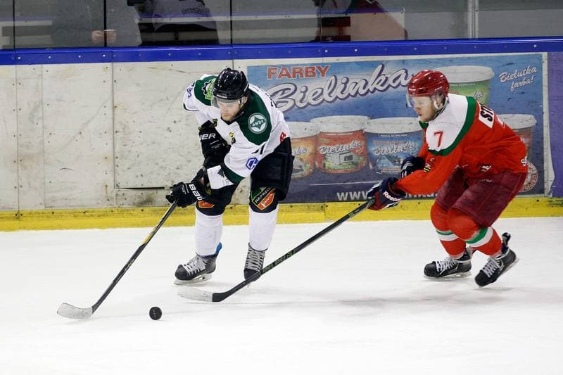 Ice Hockey. I Liga. Naprzod Janow - Zaglebie Sosnowiec. 22.01.2017
