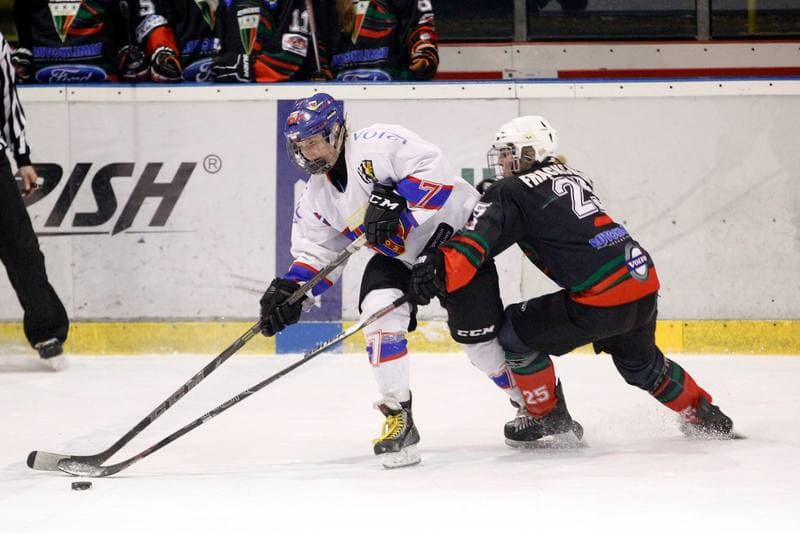 Ice Hockey. PLHK. Polonia Bytom - Atomowki Tychy. 27.01.2017