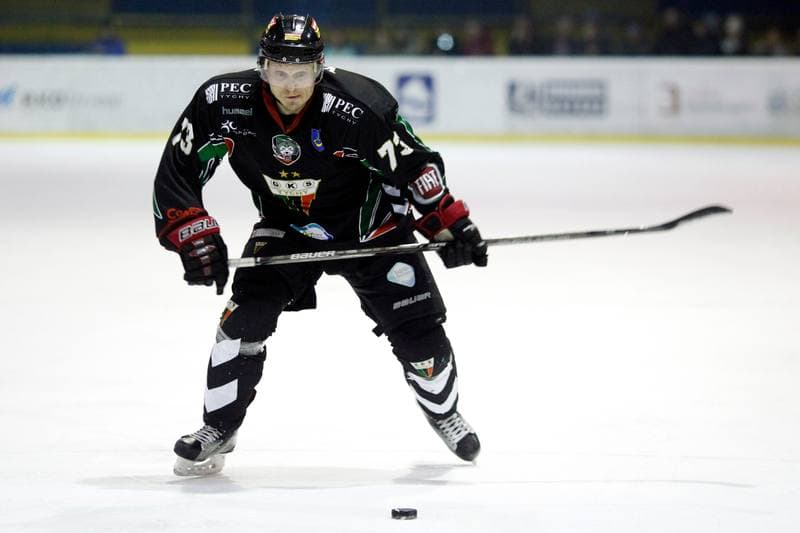 Ice Hockey. Polska Hokej Liga. Tempish Polonia Bytom - GKS Tychy. 12.03.2017