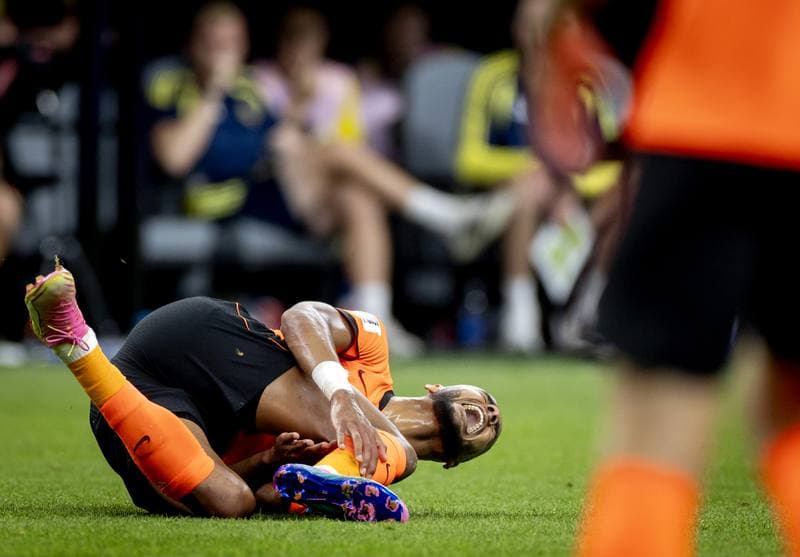 Football. FIFA World Cup. Netherlands - Sweden. 20.06.2026