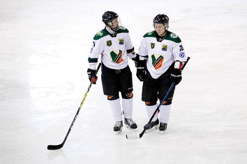 Ice Hockey. I Liga. Naprzod Janow - UKH Debica. 12.02.2017