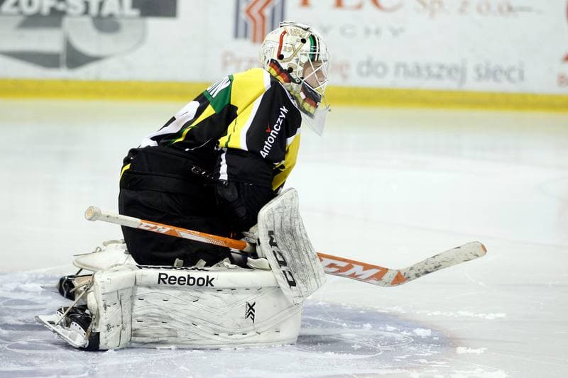 Ice Hockey. Polska Hokej Liga. GKS Tychy - JKH GKS Jastrzebie. 17.02.2017