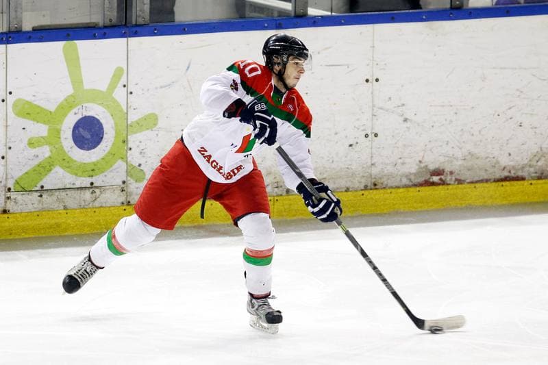Ice Hockey. I Liga. Zaglebie Sosnowiec - UKH Debica. 18.02.2017