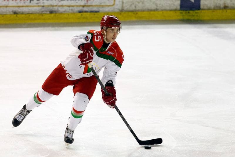 Ice Hockey. I Liga. Zaglebie Sosnowiec - UKH Debica. 18.02.2017