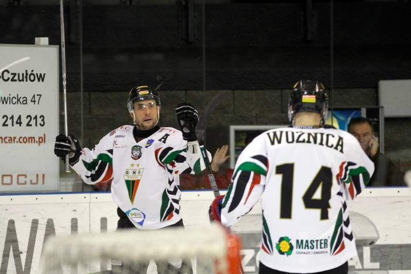 Ice Hockey. Polska Hokej Liga. GKS Tychy - Tauron GKS Katowice. 21.02.2017