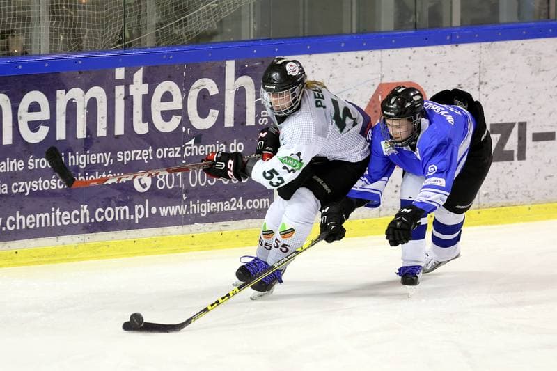 Ice Hockey. PLHK. Naprzod Janow - Stoczniowiec Gdansk. 25.02.2017