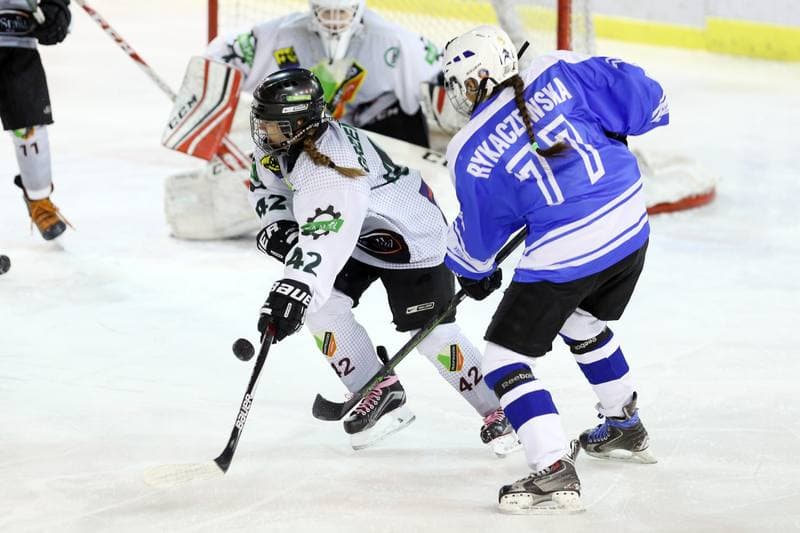 Ice Hockey. PLHK. Naprzod Janow - Stoczniowiec Gdansk. 25.02.2017