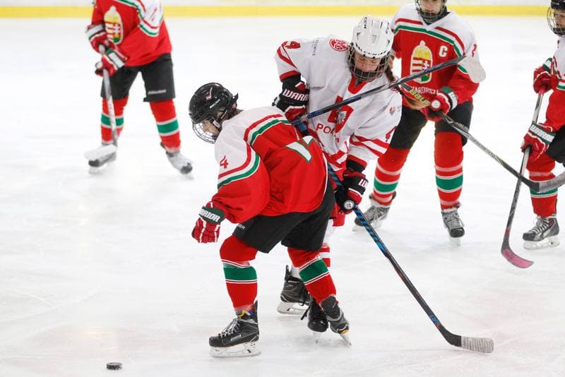 Ice Hockey. TCN. Poland - Hungary. 18.02.2018