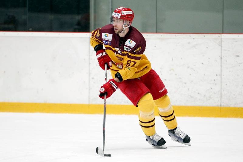 Ice Hockey. WSM Liga. HC Frydek-Mistek - Dukla Jihlava. 02.03.2017