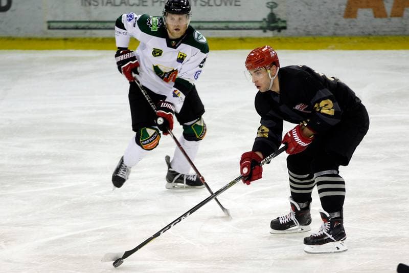 Ice Hockey. Polska Hokej Liga. Anteo Naprzod Janow - Comarch Cracovia Krakow. 19.01.2018