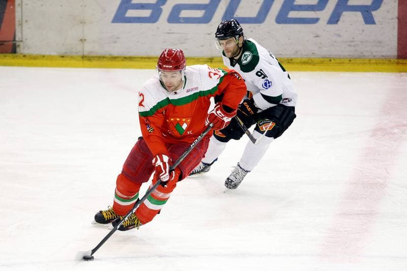 Ice Hockey. I Liga. Naprzod Janow - Zaglebie Sosnowiec. 12.03.2017