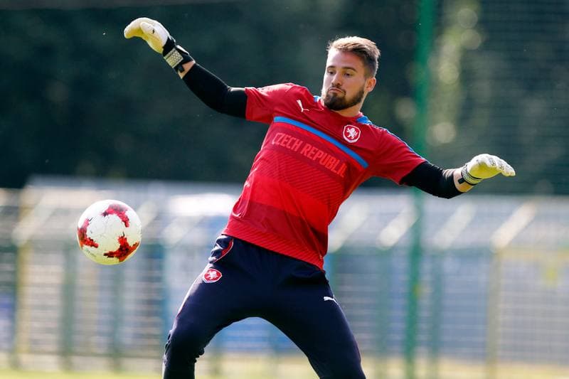 Football. Czech Republic. Training. 20.06.2017