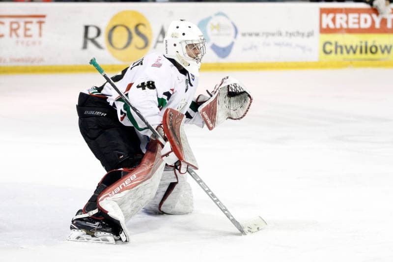 Ice Hockey. Polska Hokej Liga. GKS Tychy - Comarch Cracovia. 29.03.2017