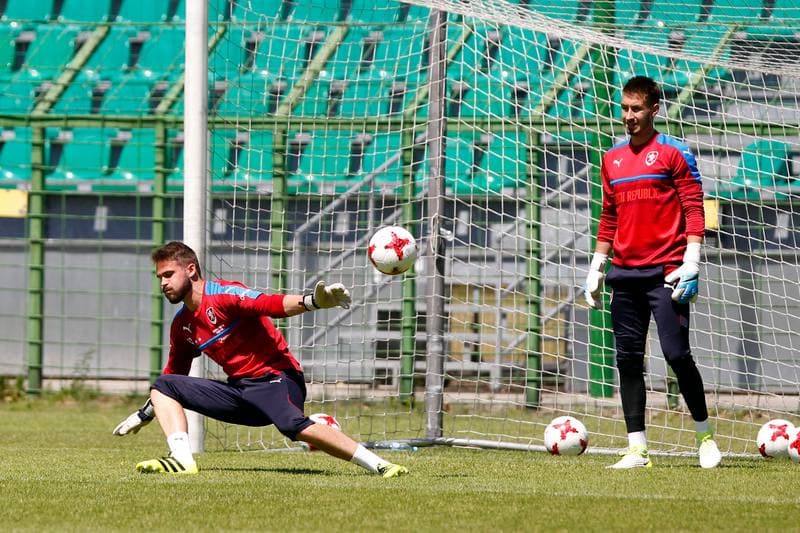 Football. Czech Republic. Training. 22.06.2017