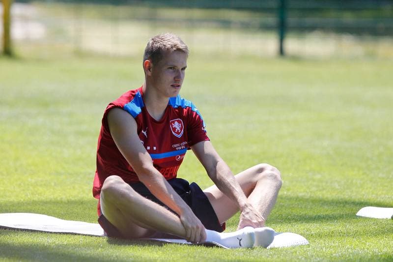 Football. Czech Republic. Training. 22.06.2017