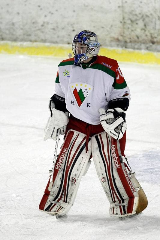 Ice Hockey. I Liga. Zaglebie Sosnowiec - Academy 1928 KTH Krynica. 10.02.2018