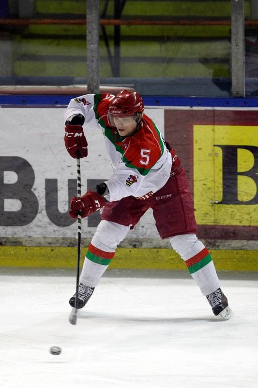 Ice Hockey. I Liga. Zaglebie Sosnowiec - Academy 1928 KTH Krynica. 10.02.2018