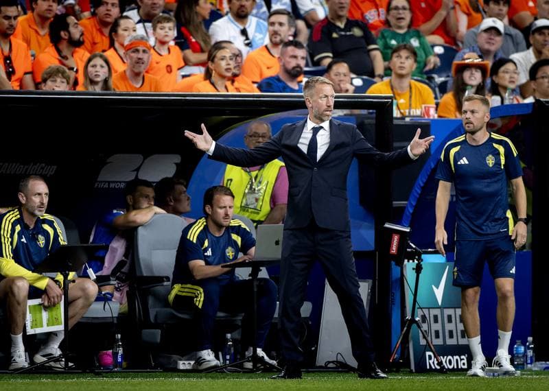 Football. FIFA World Cup. Netherlands - Sweden. 20.06.2026