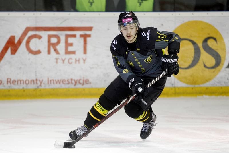 Ice Hockey. Polska Hokej Liga. GKS Tychy - Tauron KH GKS Katowice. 29.03.2018