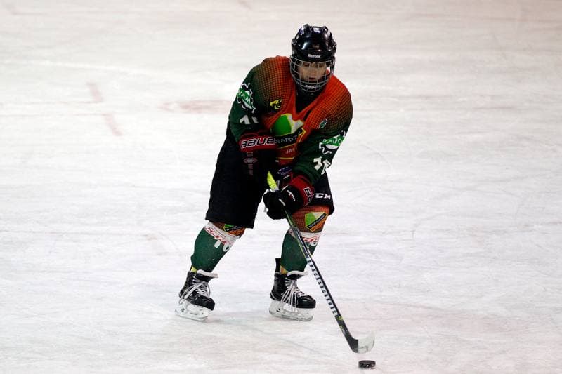 Ice Hockey. PLHK. Polonia Bytom - Naprzod Janow. 21.10.2017