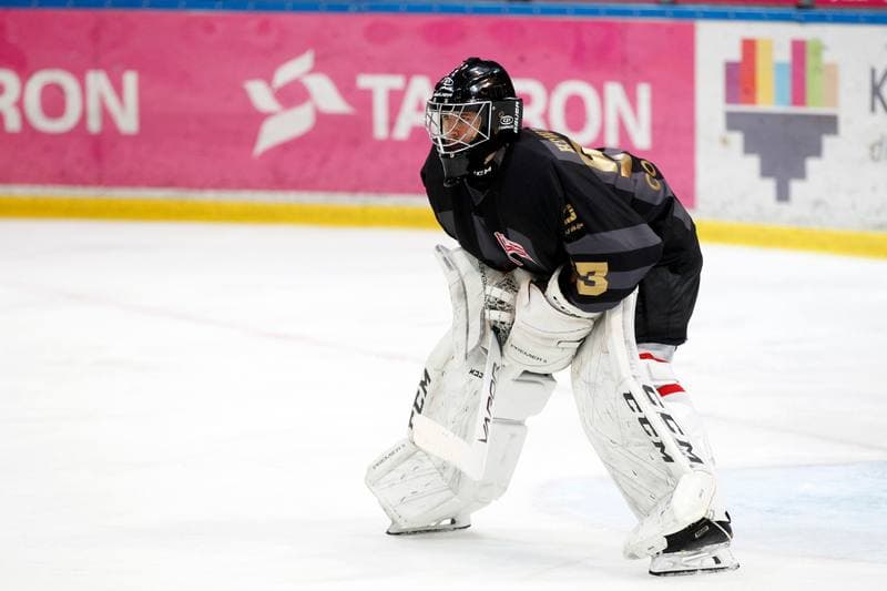 Ice Hockey. Tauron Hockey League. Tauron KH GKS Katowice - Comarch Cracovia. 23.03.2019