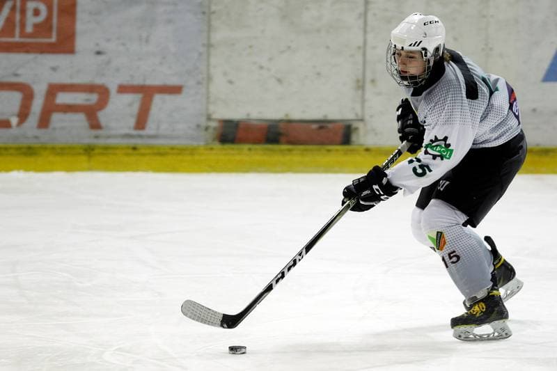 Ice Hockey. PLHK. Naprzod Janow - Polonia Bytom. 18.01.2018