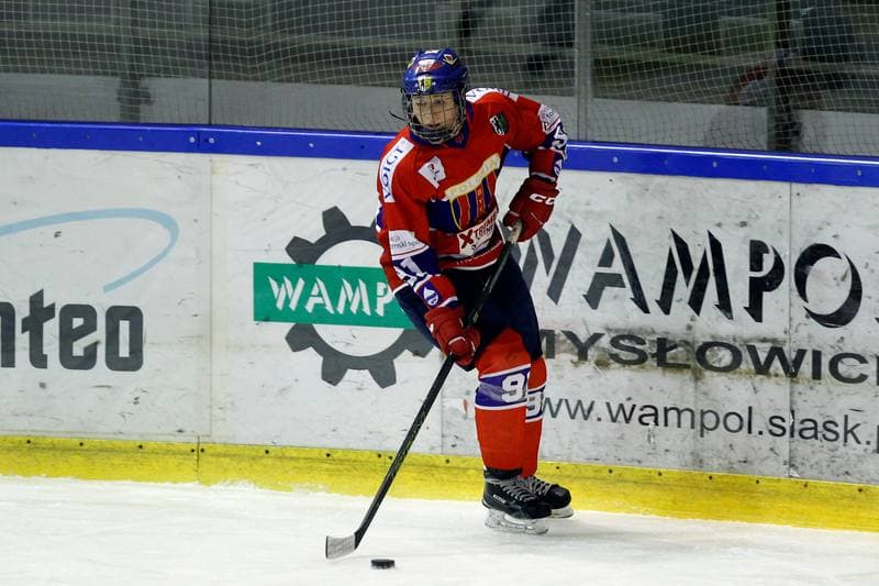 Ice Hockey. PLHK. Naprzod Janow - Polonia Bytom. 18.01.2018