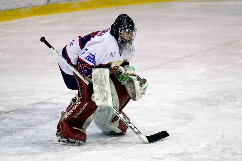 Ice Hockey. Polska Hokej Liga. Polonia Bytom - Automatyka Gdansk. 21.01.2018