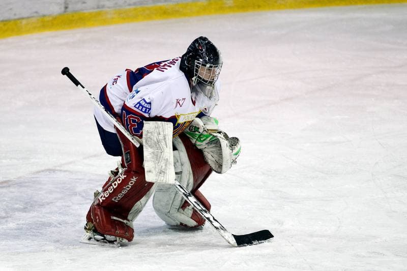 Ice Hockey. Polska Hokej Liga. Polonia Bytom - Automatyka Gdansk. 21.01.2018