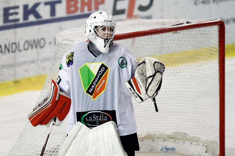 Ice Hockey. PLHK. Naprzod Janow - Polonia Bytom. 18.01.2018