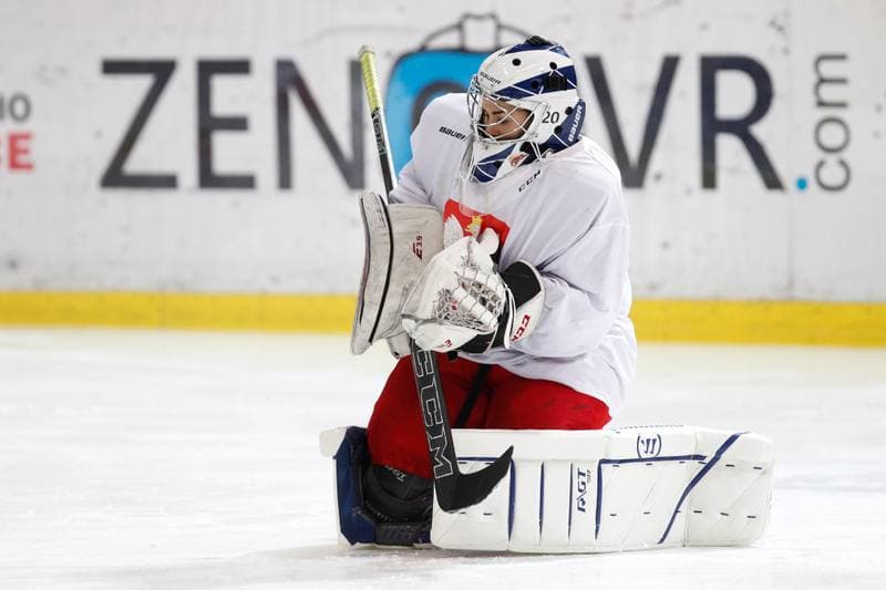 Ice Hockey. Poland national team. Training. 15.02.2018