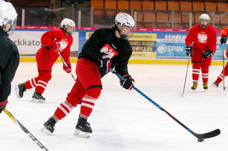 Ice Hockey. Poland national team. Training. 15.02.2018
